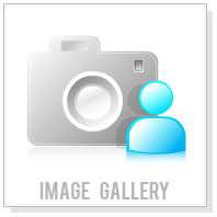image gallery